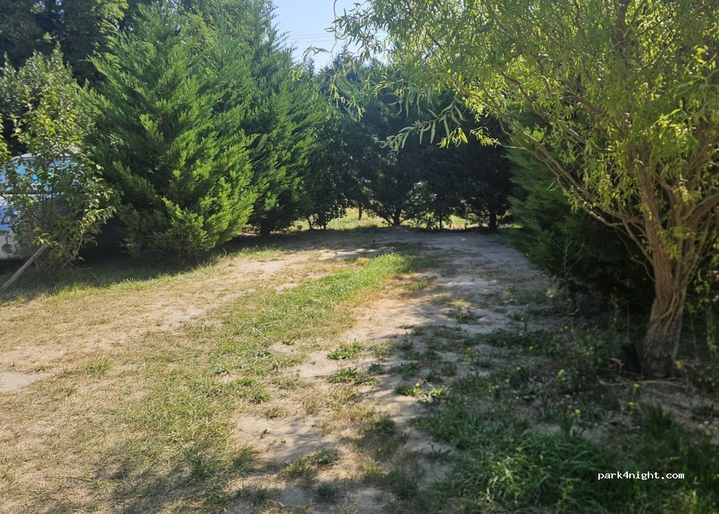 La bergerie de l'olivier — foto 4