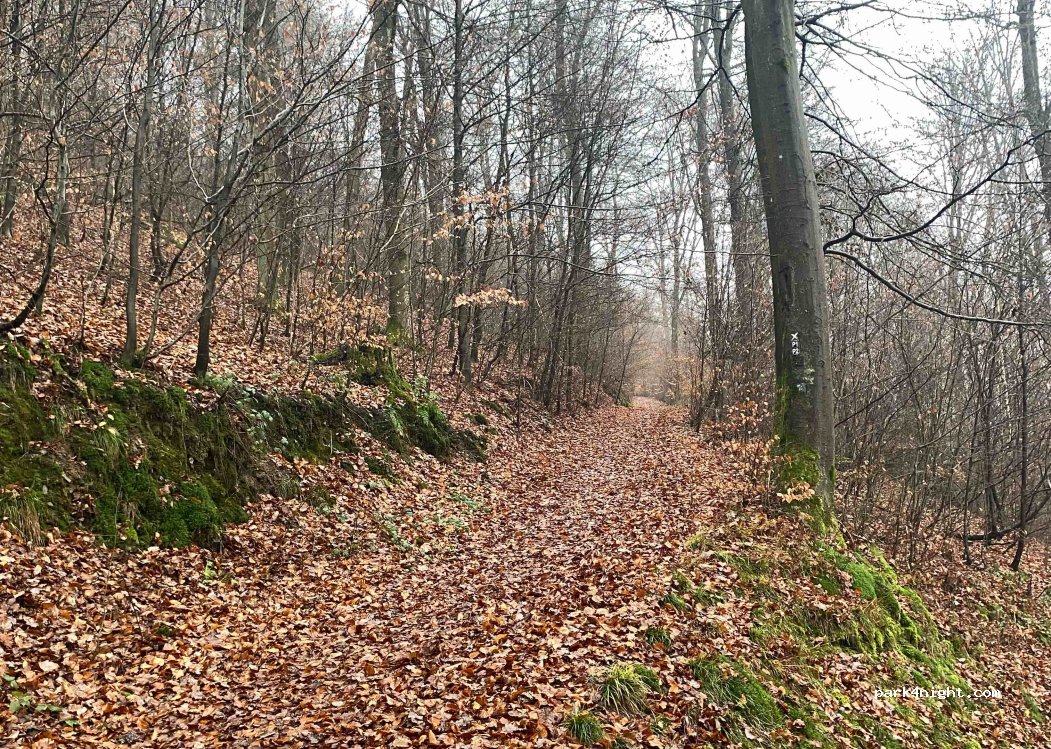 (58840) Plettenberg - 18 Hestenbergstraße — foto 2