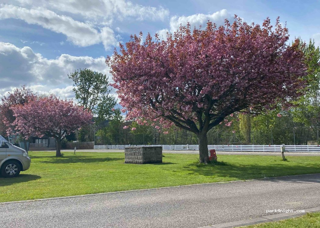 Torvean Caravan Park — foto 5
