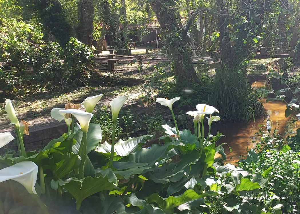 Fonte da Petra — foto 5