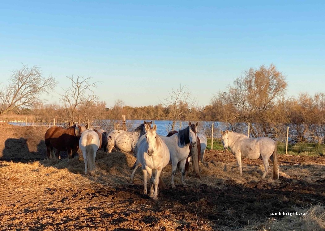 Abrivado Ranch — foto 2