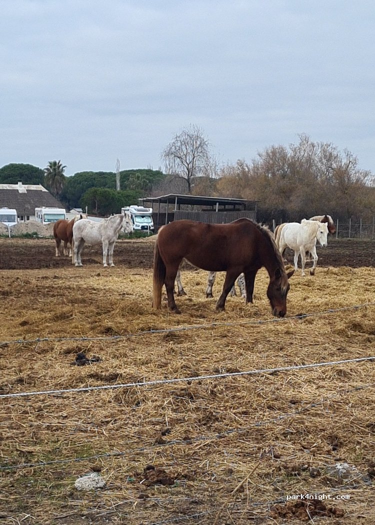 Abrivado Ranch — foto 3