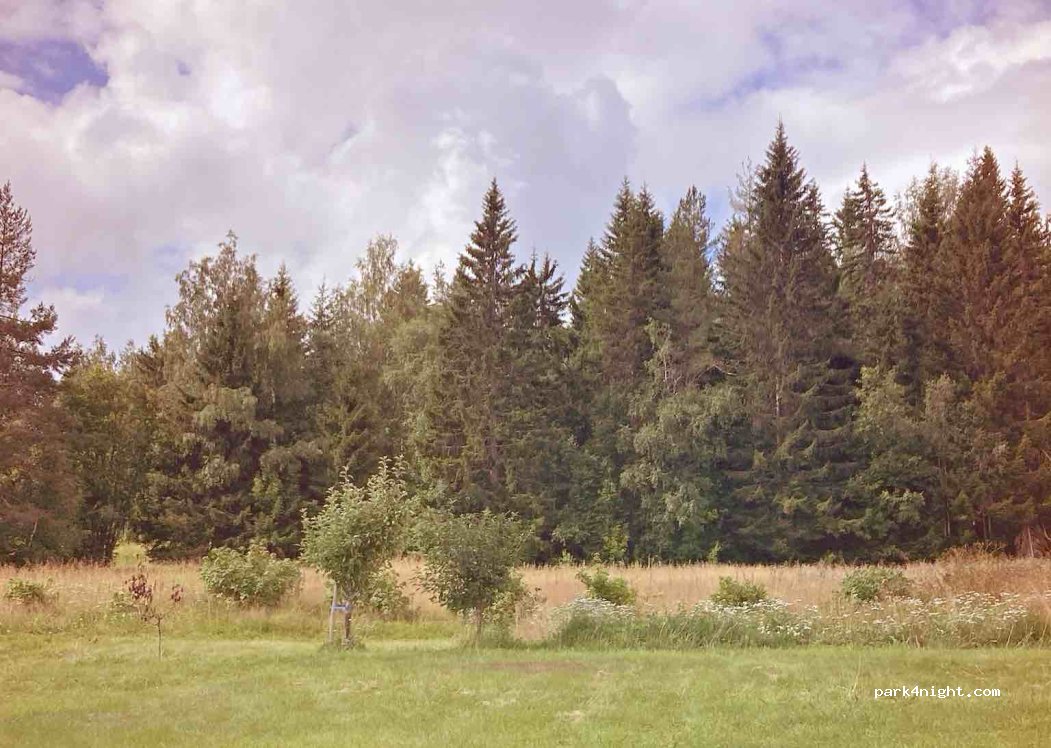 (827 70) Ryggskog - — foto