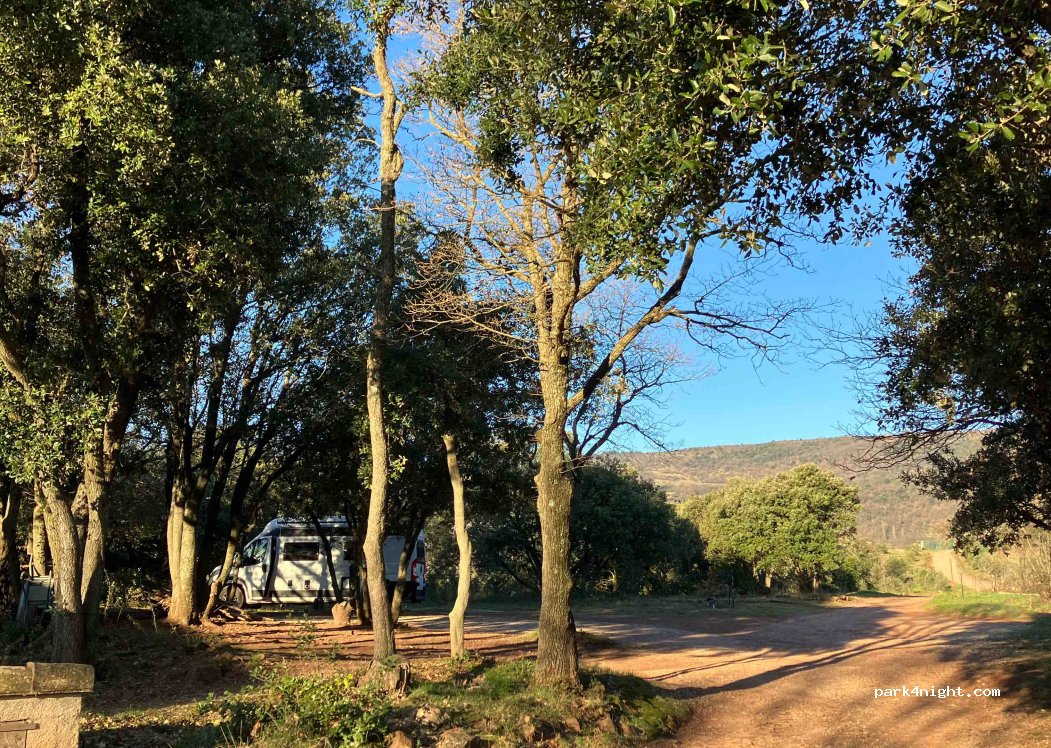 (34700) Olmet-et-Villecun - 800 Chemin de la Devèze — foto 3