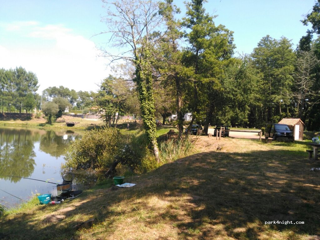(40210) Labouheyre - D63 — foto