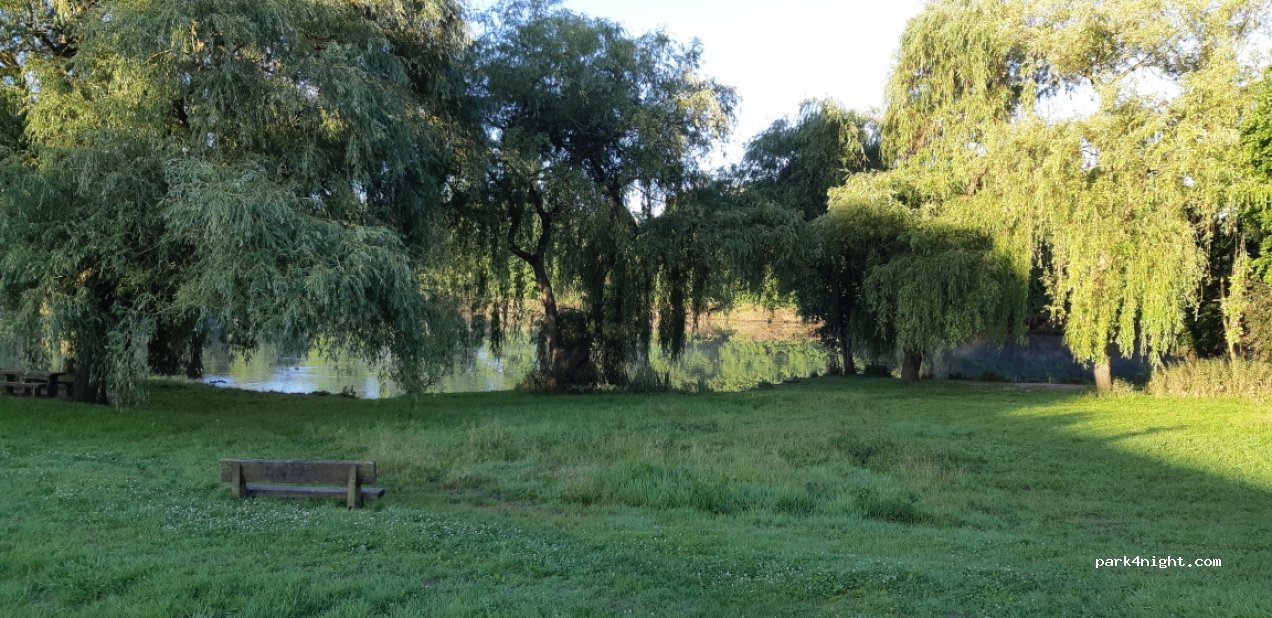 (91460) Marcoussis - Chemin de la ronce — foto