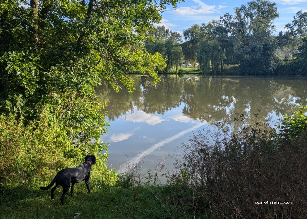 (91460) Marcoussis - Chemin de la ronce — foto 4