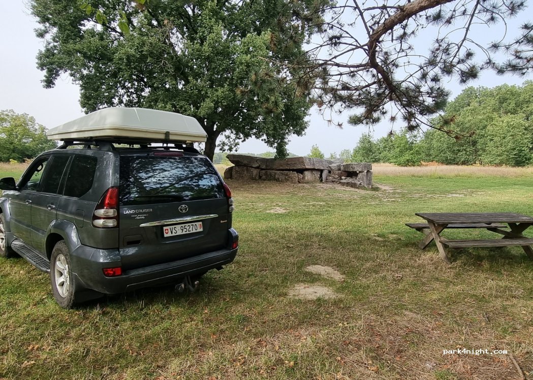 (49250) Saint-Rémy-la-Varenne - Les Pelouses — foto
