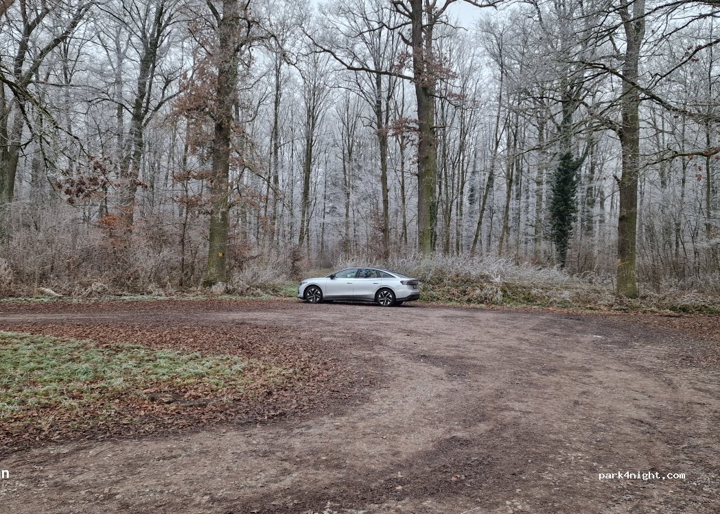 Waldparkplatz Eichwald — foto