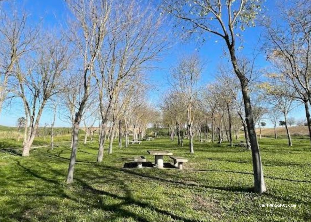 (41907) Valencina de la Concepción - Pista Cañada Real de la Isla Ma — foto