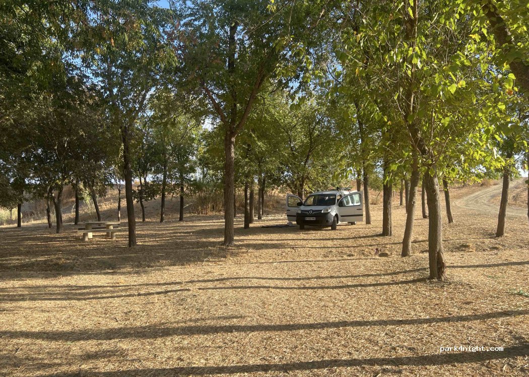 (41907) Valencina de la Concepción - Pista Cañada Real de la Isla Ma — foto 2