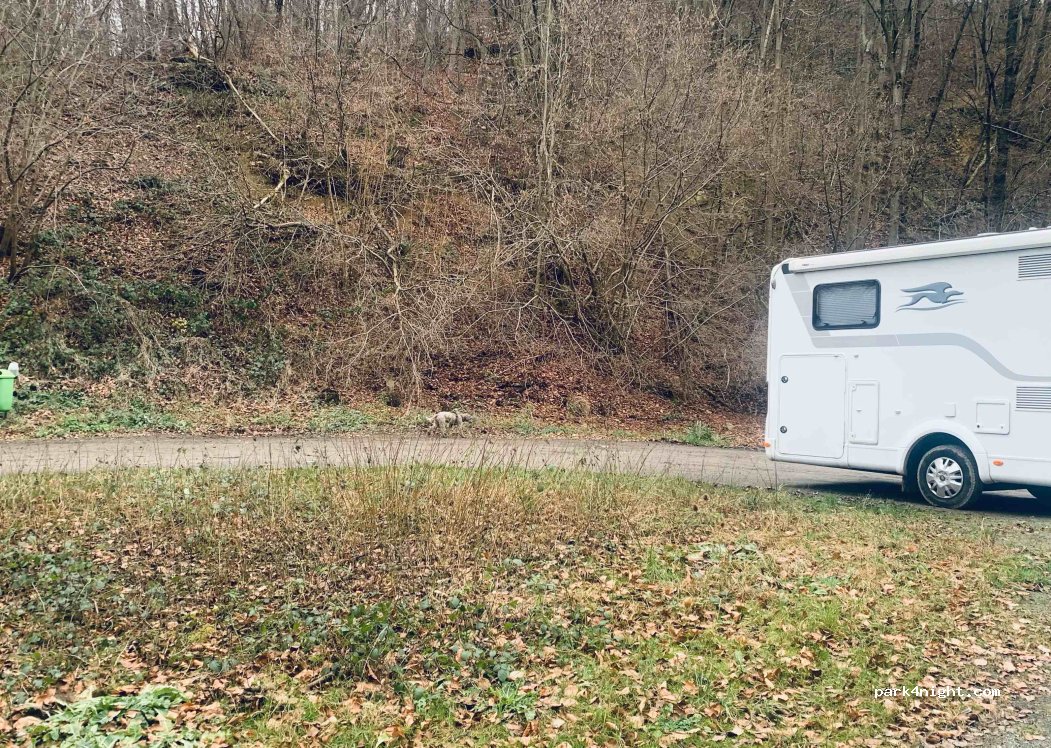 (32689) Kalletal - — foto 2