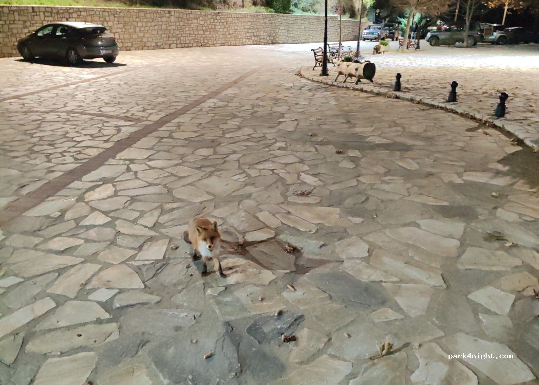 (430 67) Filakti - Unnamed road — foto 5