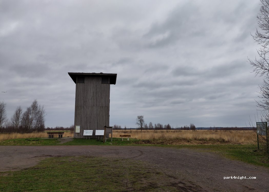 (49453) Hemsloh - Unnamed road — foto