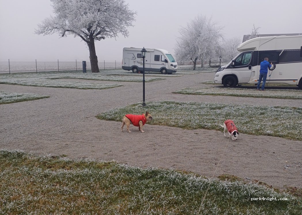 Wohnmobilstellplatz Hirsch — foto