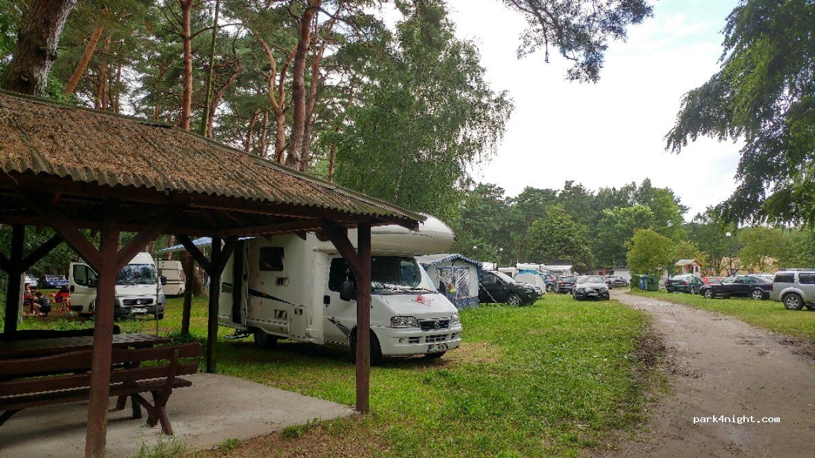 Pole Namiotowe POD LASEM — foto