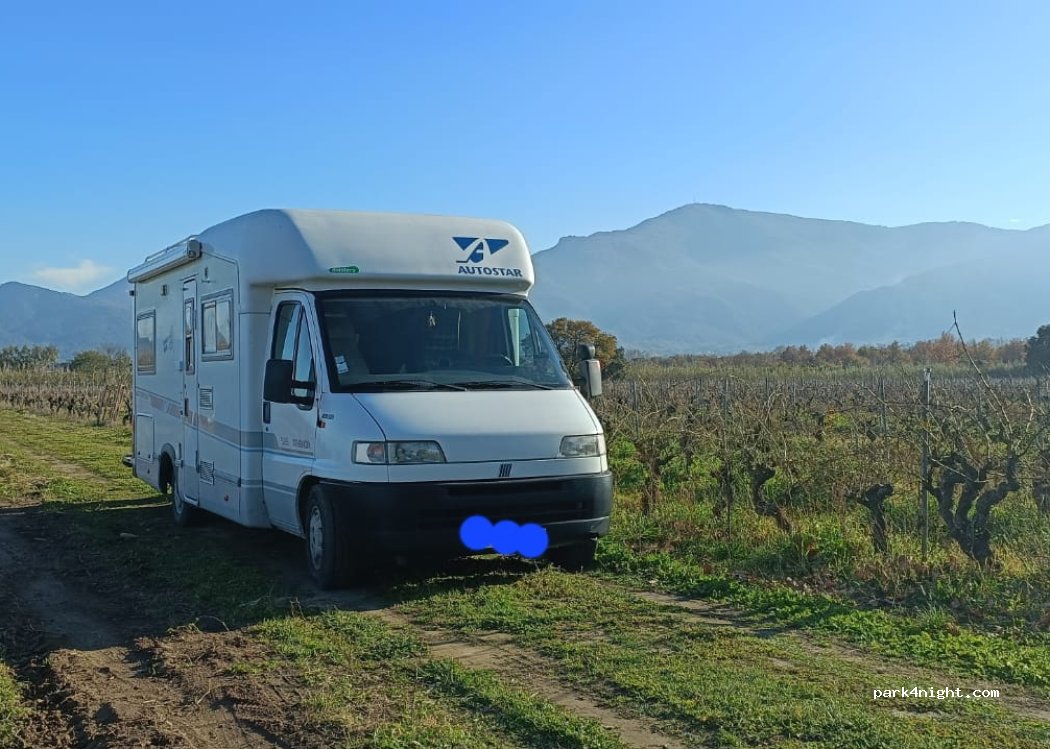 (66740) Saint-Génis-des-Fontaines - 521 La Viscomta — foto