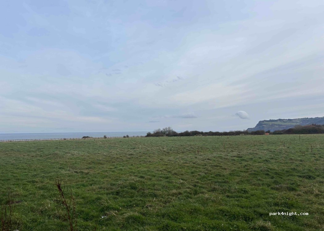 Farsyde Farm Campsite and Horse Holidays — foto