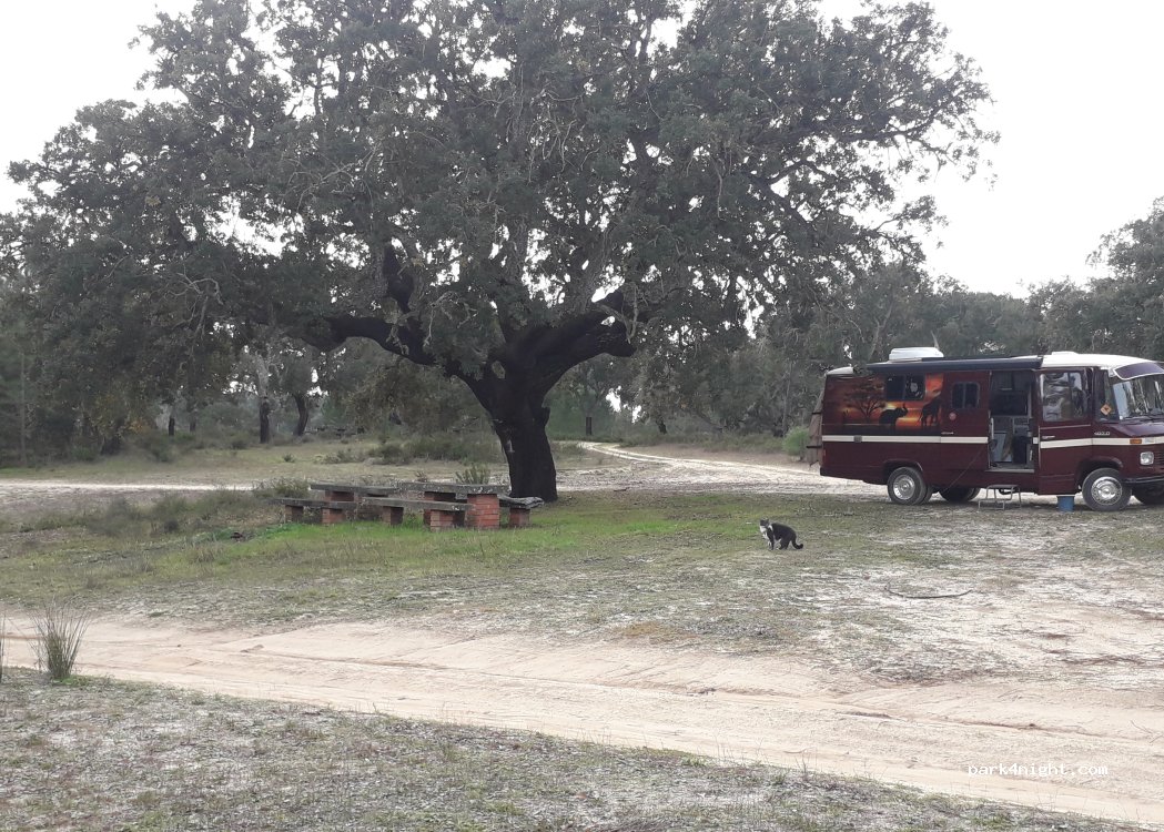 (2125-339) Muge - Unnamed Road — foto