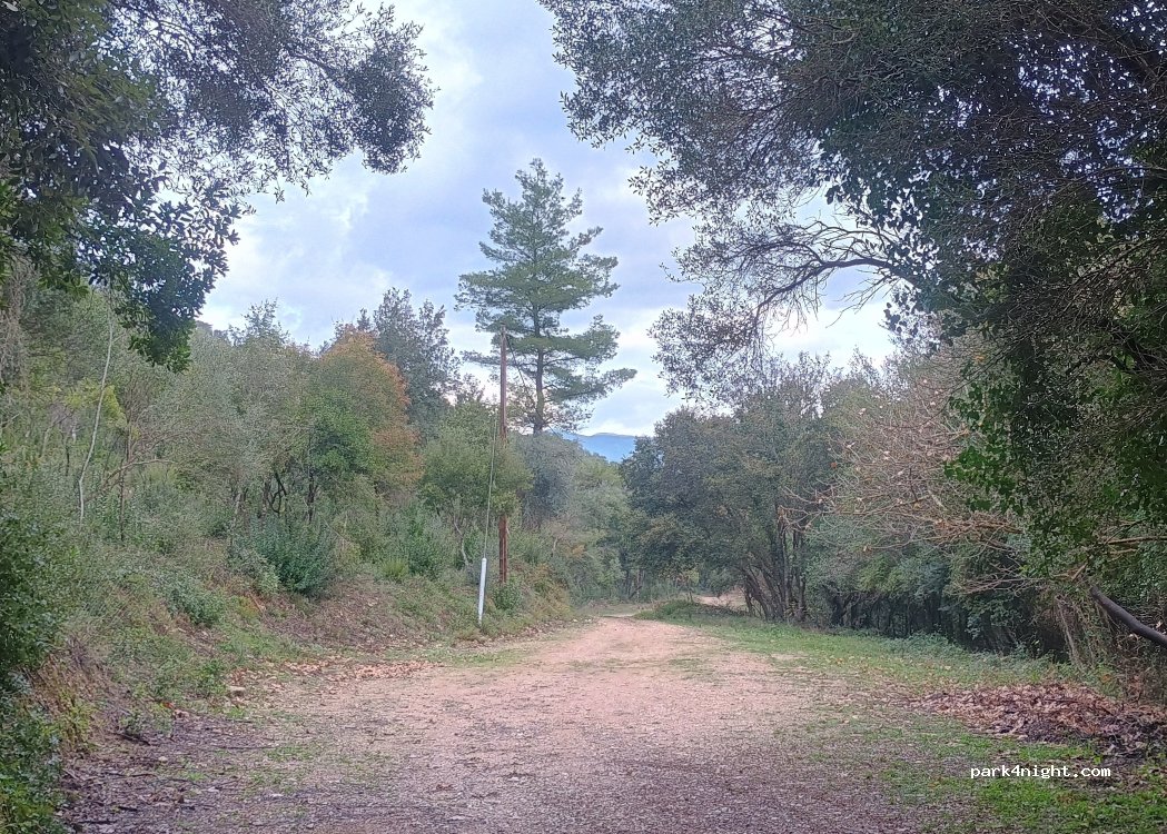 (245 00) Kiparissia - Unnamed Road — foto 2