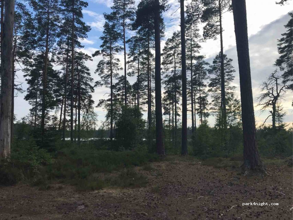 (567 91)  - 8 FÄGRIDA — foto