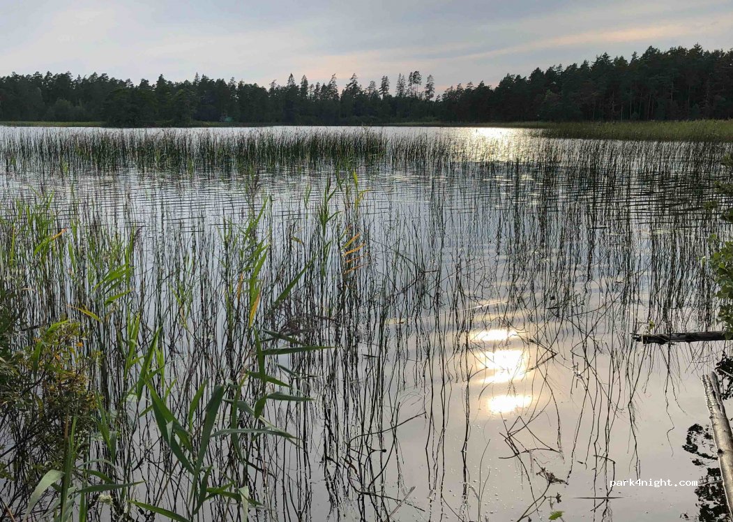 (567 91)  - 8 FÄGRIDA — foto 3