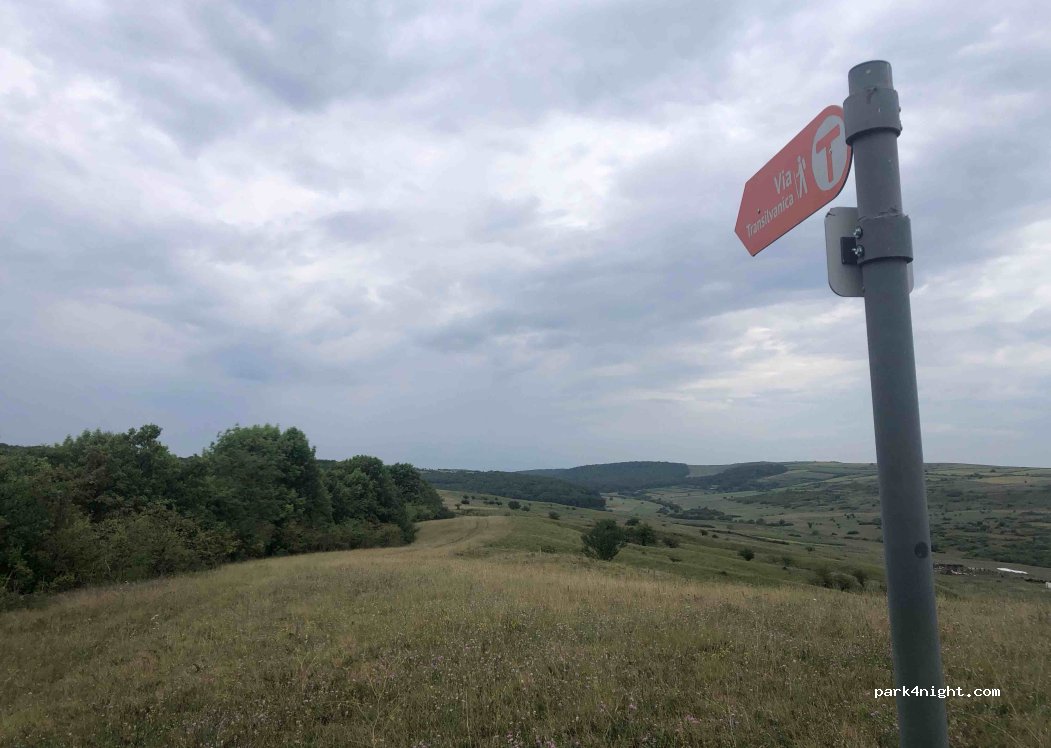 (515400) Veza - Unnamed Road — foto 2