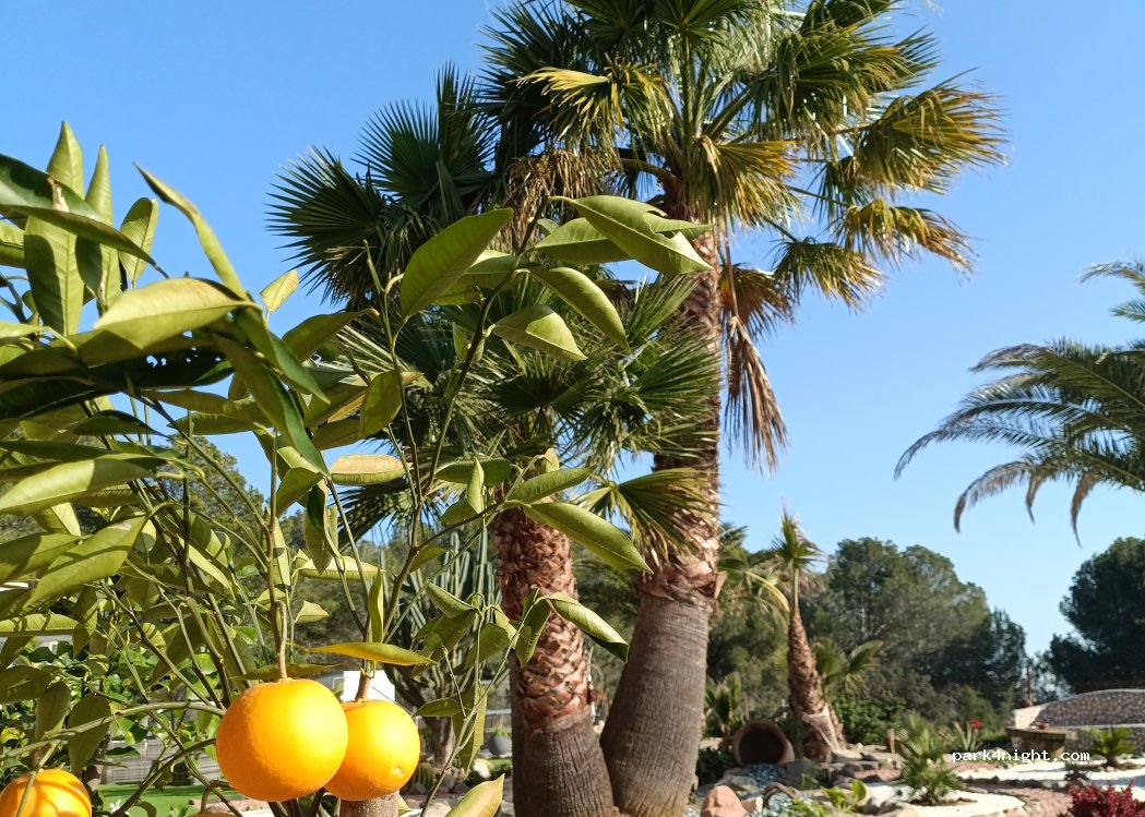 Phil et Flo - Casa Del Sol — foto 4