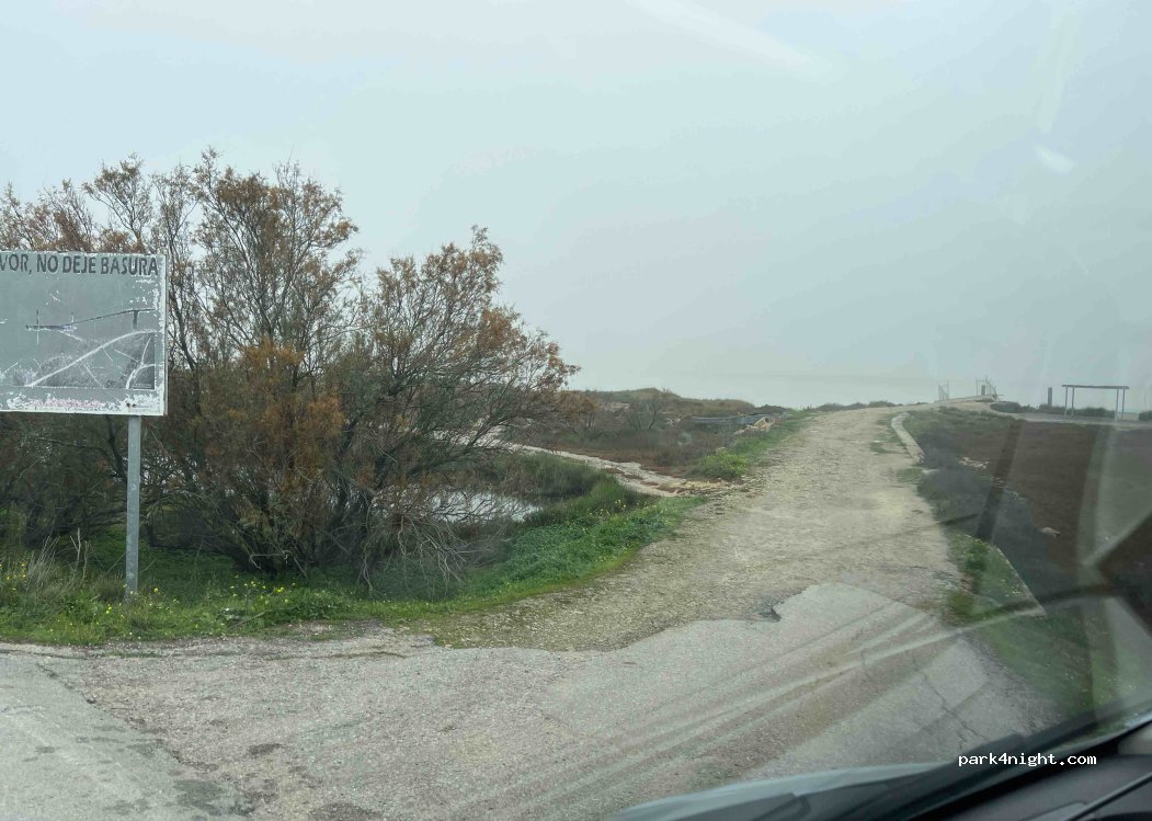 (11560) Trebujena - Carretera del Práctico — foto