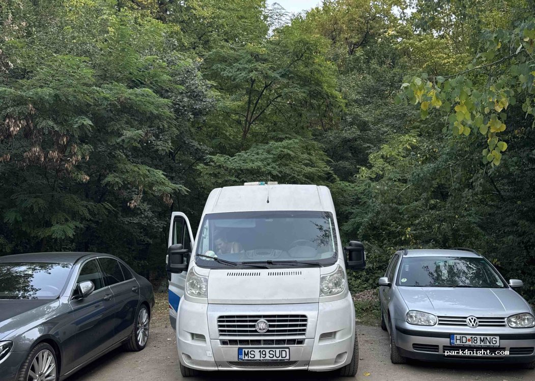 (417500) Băile Felix - — foto 4