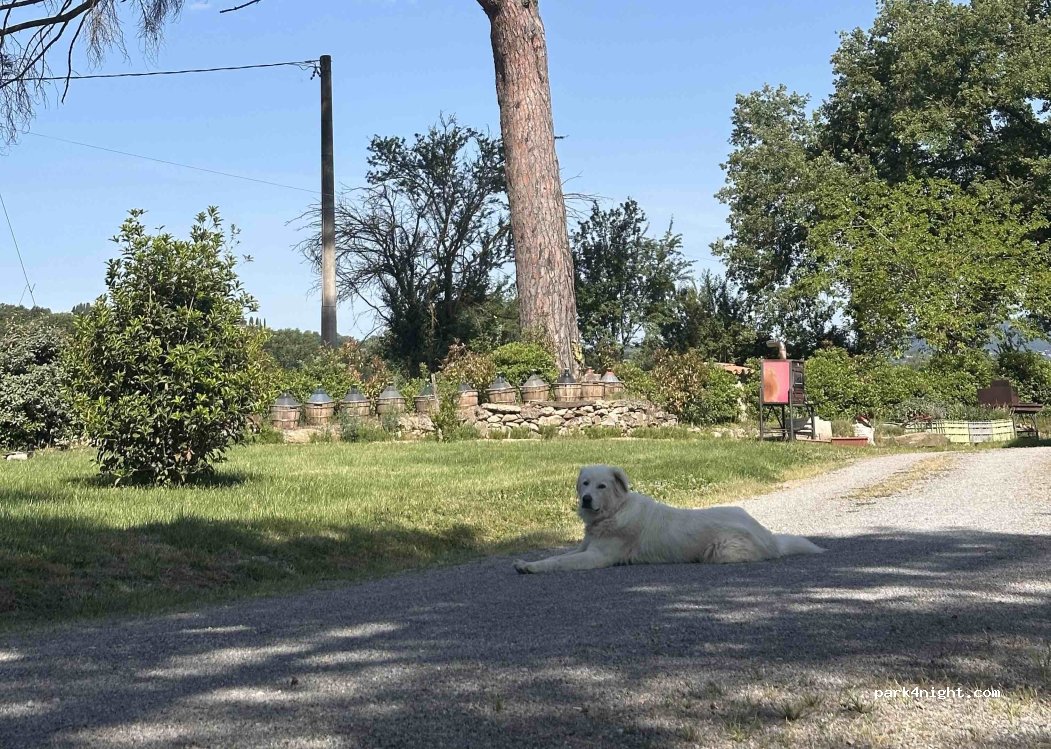 (53047) Sarteano - Strada Vicinale Palazzo di Pirro San Felciano — foto 3