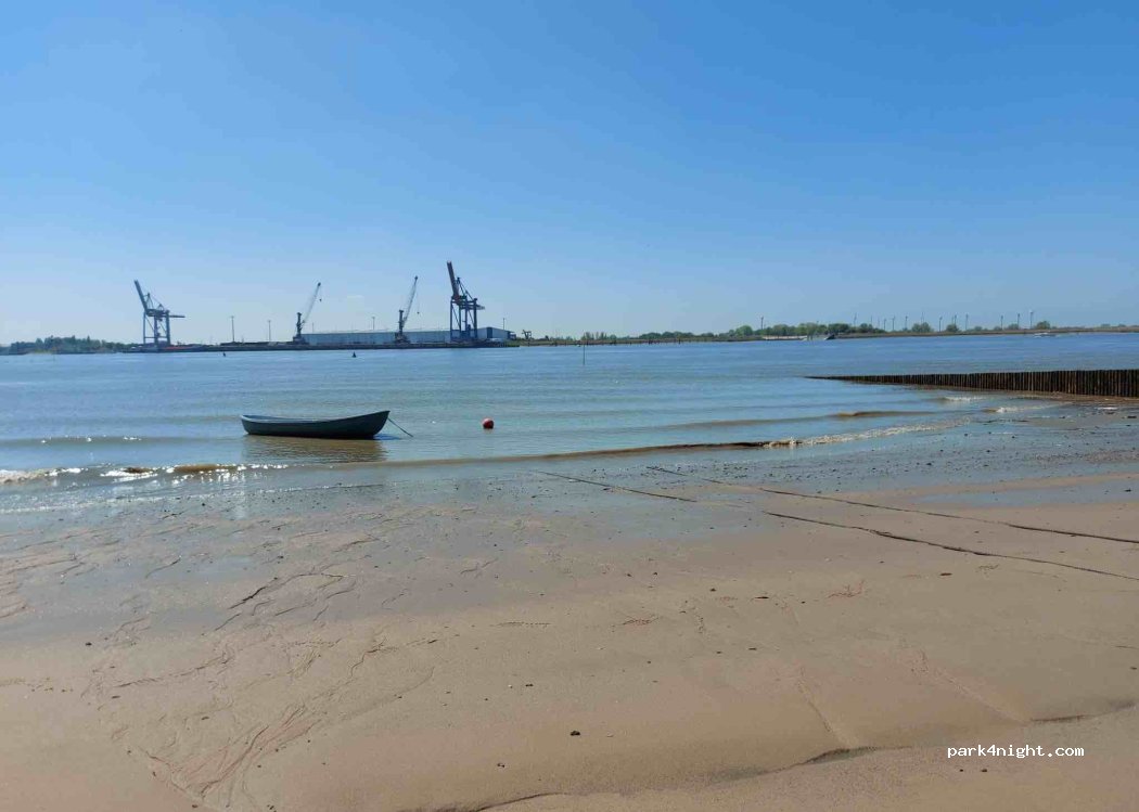 Weserhenne Sandstedt vor dem Deich — foto 3