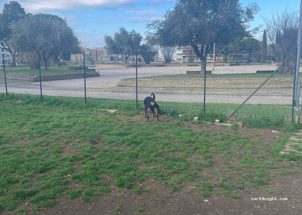 (00132) Roma - Unnamed road — foto 2