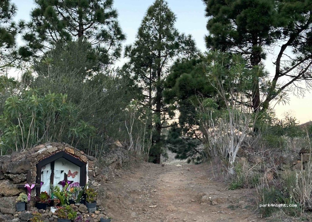 (38435) San José de Los Llanos - — foto 3