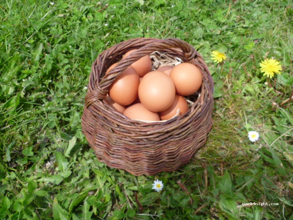 Ferme bio Cap'Hélix — foto 5