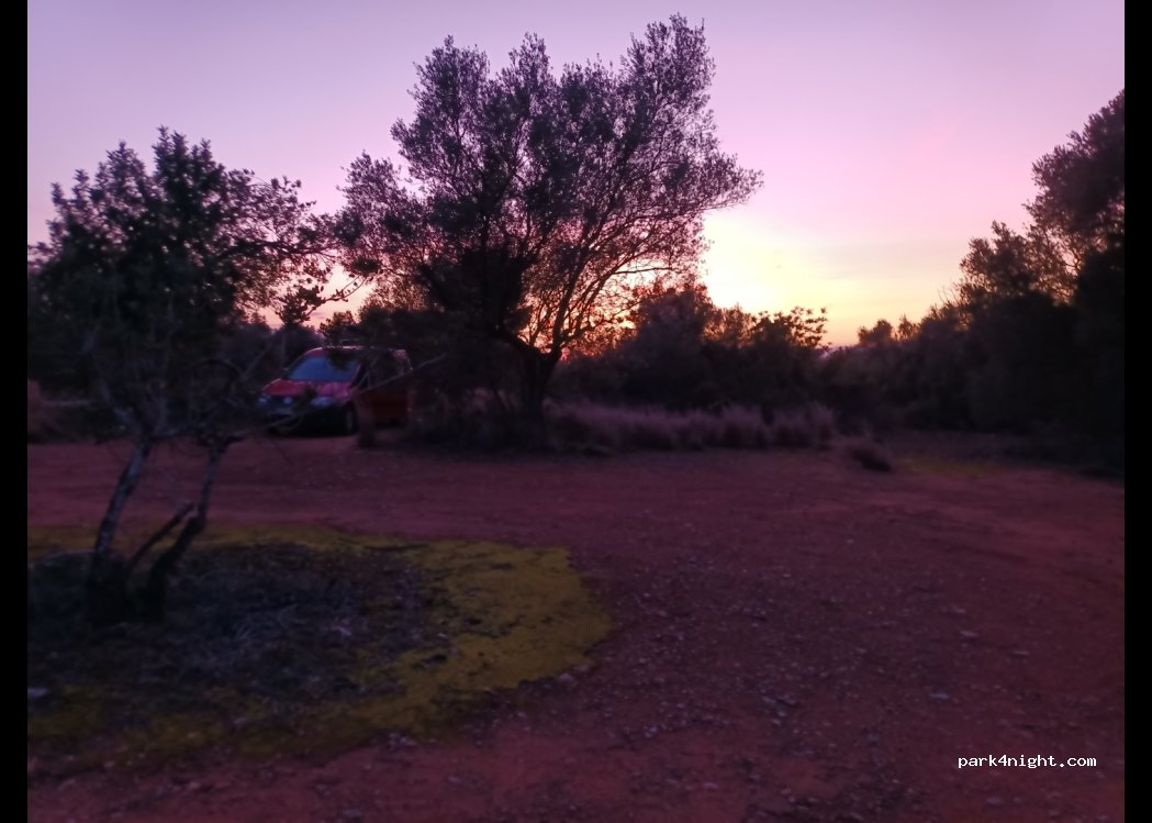 (43550) Ulldecona - — foto