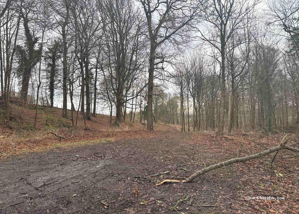 (TD8 6UE) Jedburgh - — foto 2