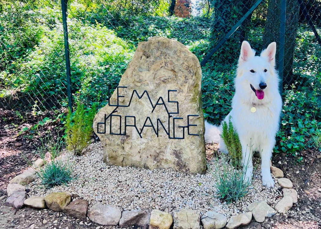 Le Mas d’Orange — foto 4