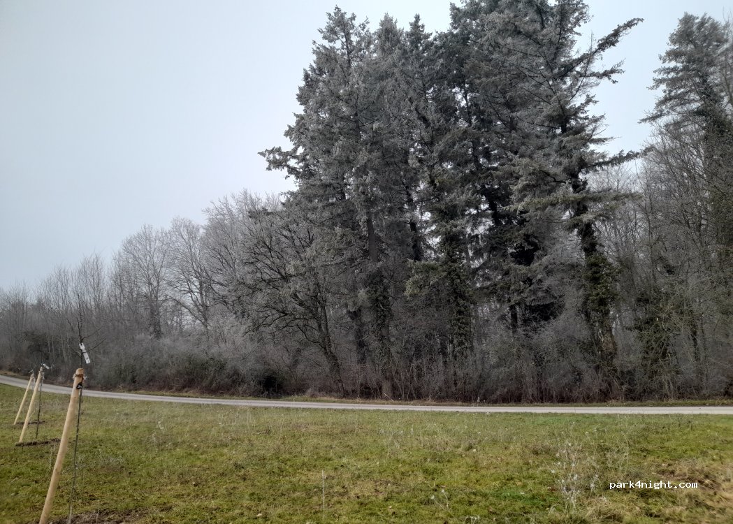 (54311) Trierweiler - — foto 2
