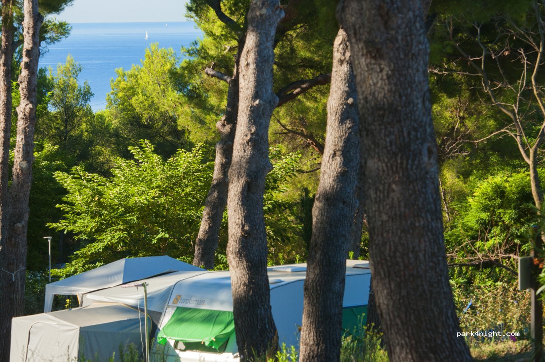 AEC Vacances - Les Dauphins — foto