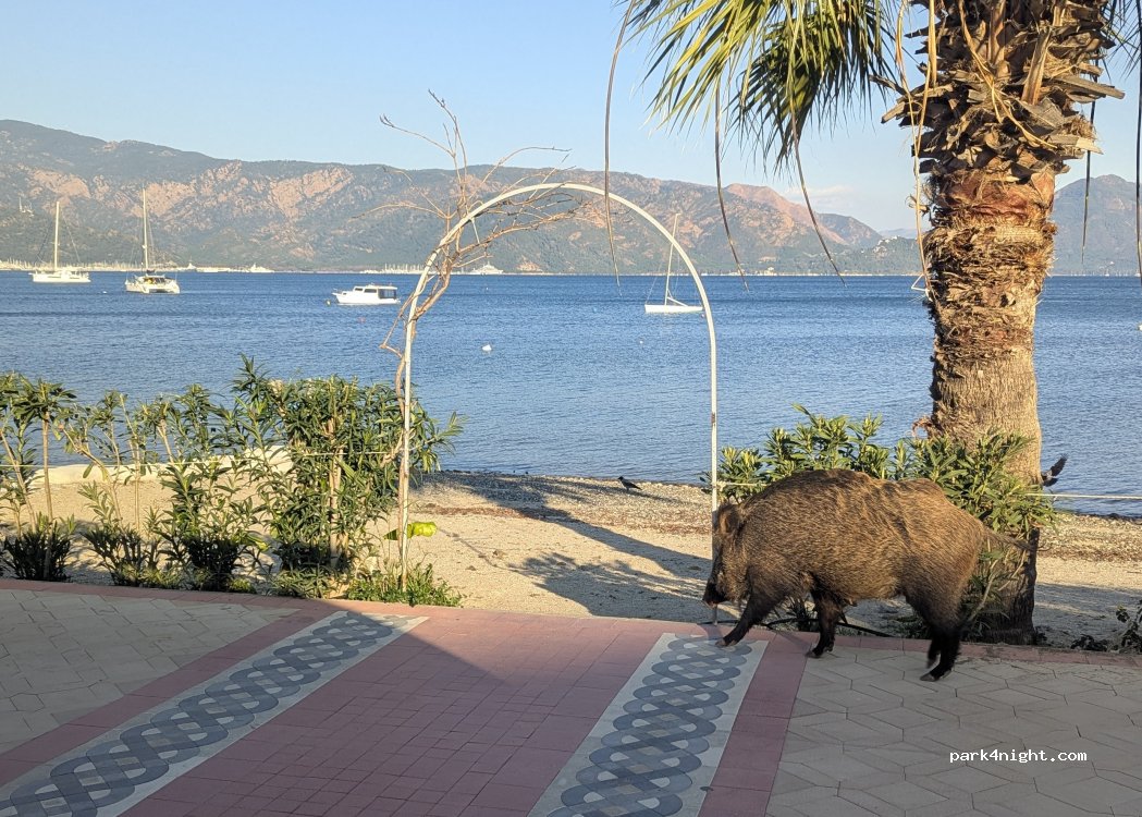 (48700) Marmaris - 28 Barbaros Caddesi — foto 5