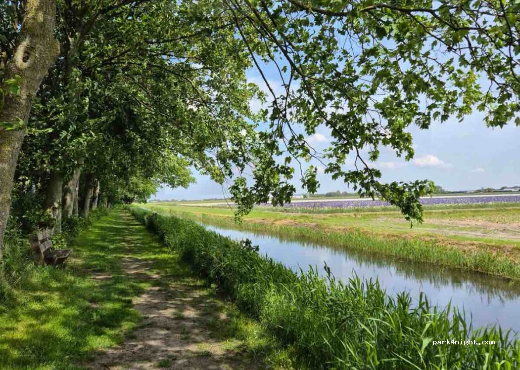 Aan Noordzee camping en vakantiehuizen — foto 5