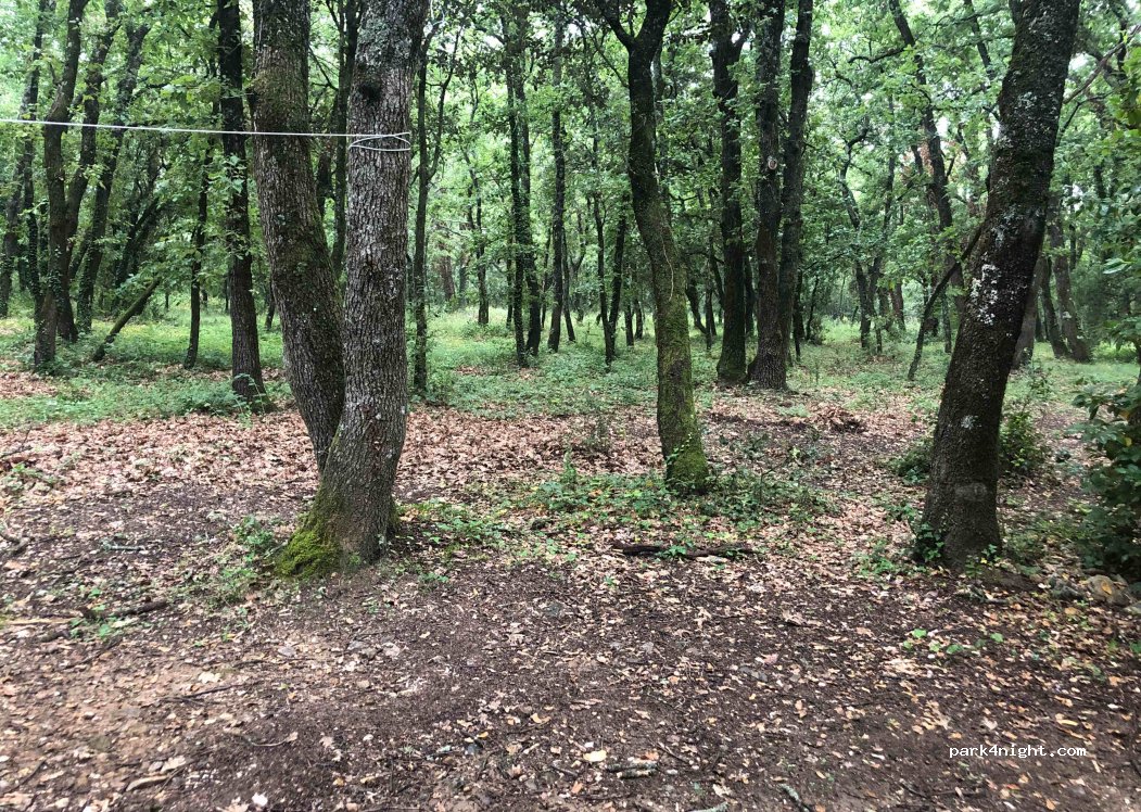 Camping Les Truffières — foto 3