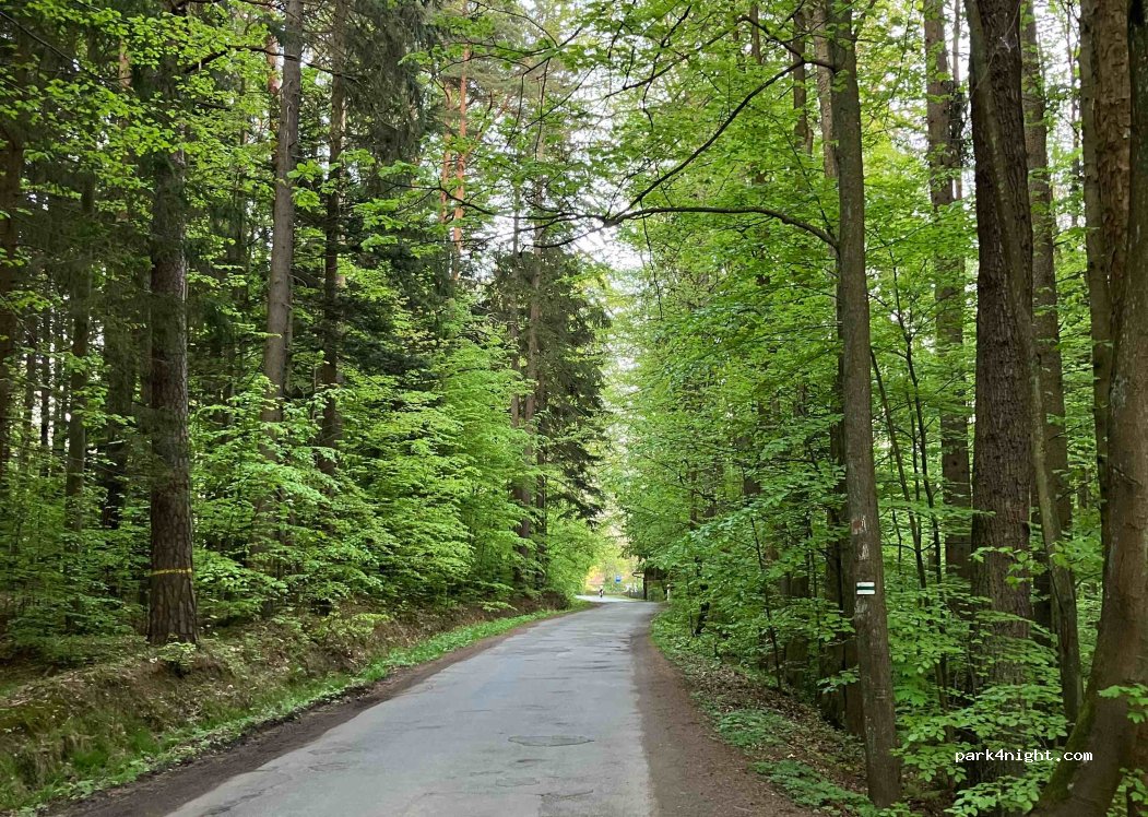 (57-516) Stara Bystrzyca - 3 Leśna — foto 5