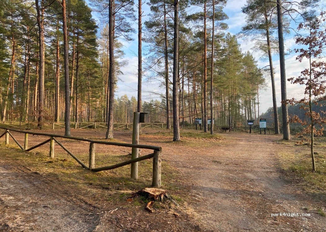 (11-015) Świerkocin - DK58 — foto 2