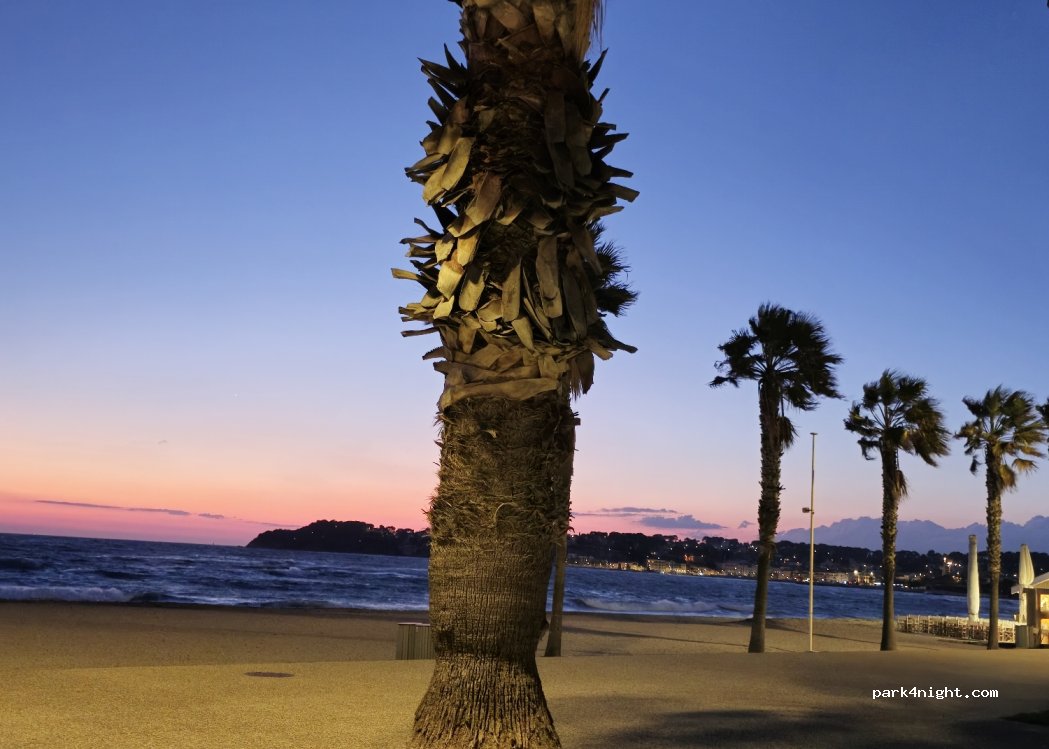 (83140) Six-Fours-les-Plages - Unnamed road — foto 3