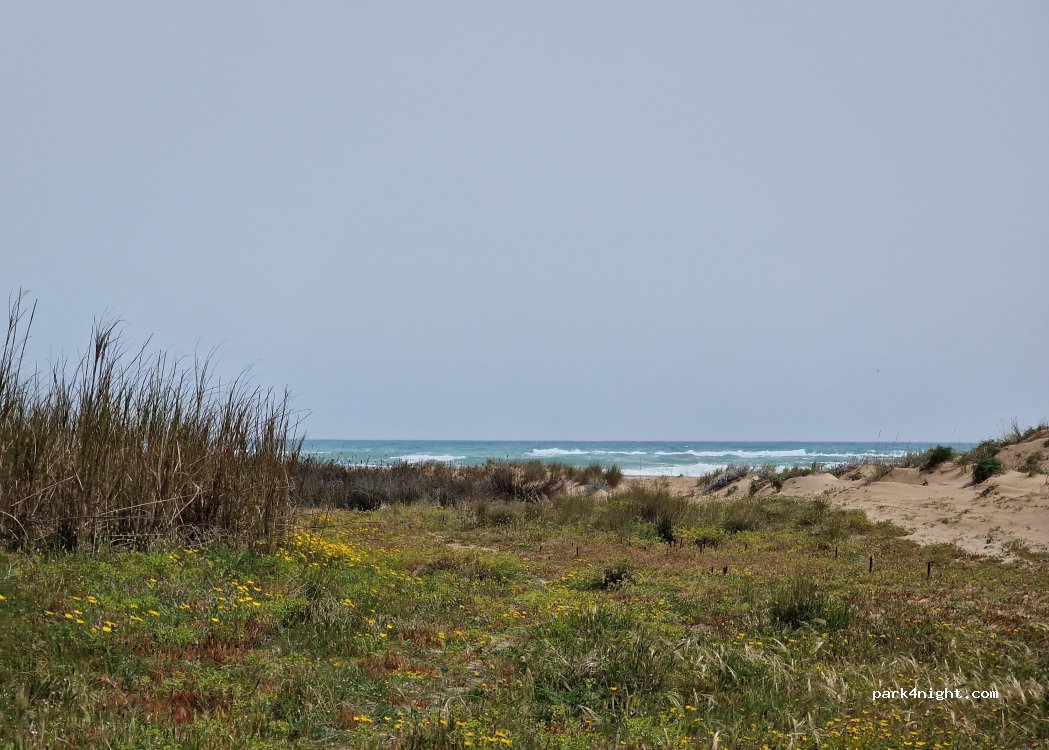 (91022) Castelvetrano - Contrada Belice di Mare — foto 4