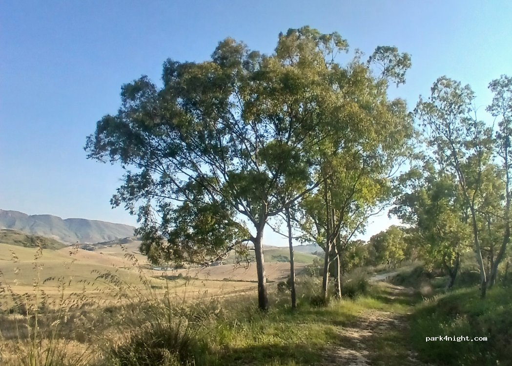 (95041) San Michele di Ganzaria - Unnamed Road — foto 5