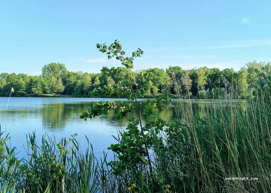 (7271 NA) Borculo - 10 Hambroekweg — foto 2