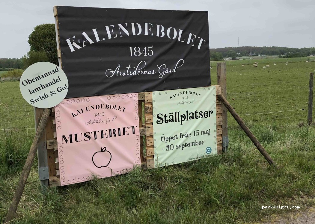 Kalendebolet — foto 5